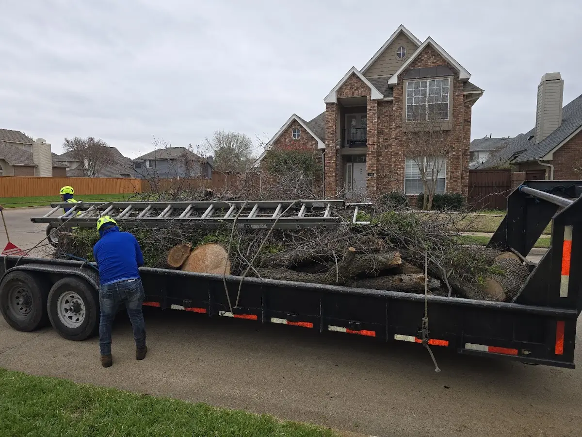 Expert Crown Reduction with proper safety equipment in Glenn Dale
